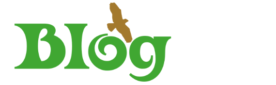 Queer Spirit Blog